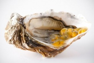 Oyster-passion-fruit-foodpairing