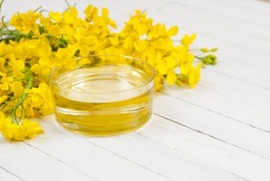 Canola oil © Getty Images S847