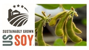 sustainably-grown US soy