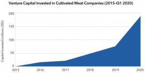 Venture Capital Investments in Cultivated Meat Companies (1915 - Q1 2020)