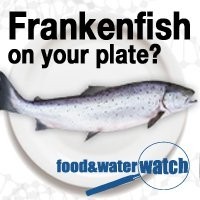 frankenfish-foodandwaterwatch