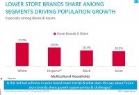 Nielsen ethnic groups private label share REVISED