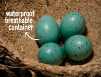 biomimicry-eggs