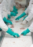 factory worker, production line, meat, Copyright Picsfive
