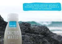 Cactus water