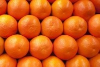 CP-Kelco-oranges