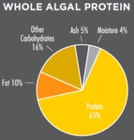 protein pie-chart