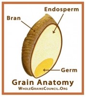 whole grains whole grain council diagram