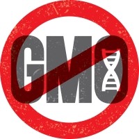 GMO_IsTOCK