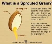 WGC sprouted grain slide