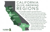 California Olive Ranch olive growing regions graph