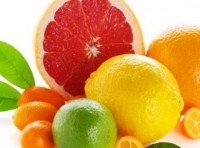 Citrus-fruits