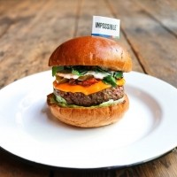 Impossible-Burger-onplate