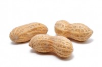 peanuts-allergies