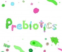 Prebiotics © Getty Images newannyart