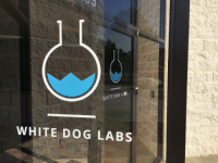 white dog labs