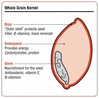 whole grain kernel