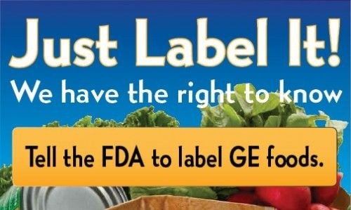Food labeling & litigation: What’s in store for 2014? Nutrition Facts, GMOs, natural claims, trans fats, GE salmon, whole grain statements