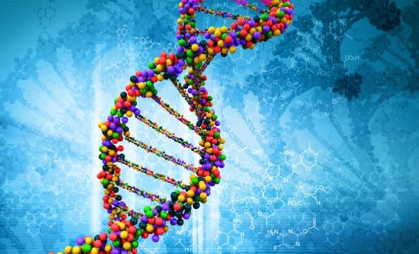 Are DNA diets ready for prime time? Five years ago I would have said no, but today…