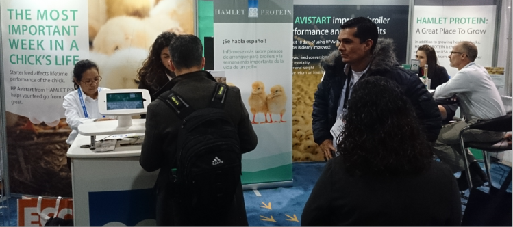 Hamlet Protein expands on demand for animal feed