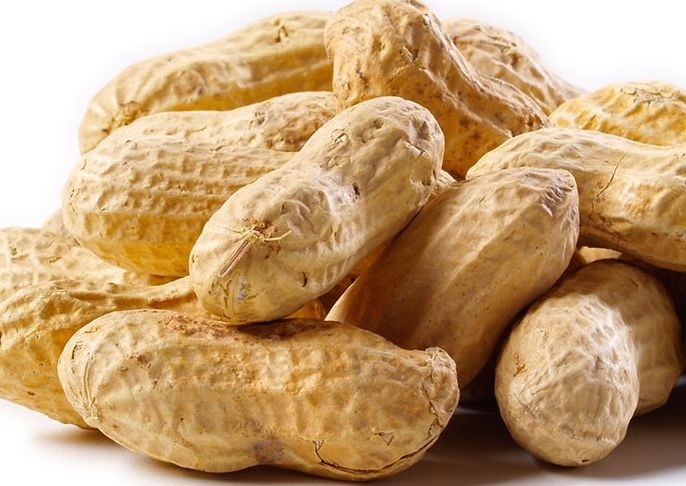 The role of peanuts and other nuts in healthy diets