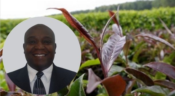 MARTIN KABAKI, founder Kenya Purple Tea LLC: Purple is the new black…