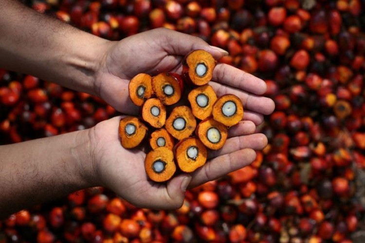 Sustainable palm oil: Originally this issue was being driven by corporate affairs. Now, commercial people are involved