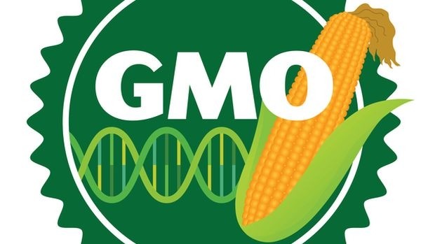 GMO labeling... the lowdown