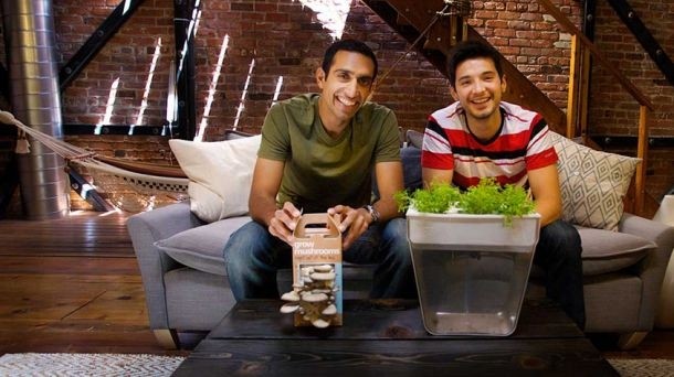 NIKHIL ARORA & ALEJANDRO VELEZ, co-founders, Back to the Roots: Here’s how we made our product… 