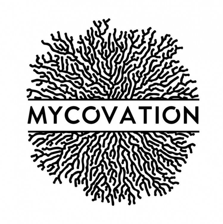 Mycovation: Mycelium to order...