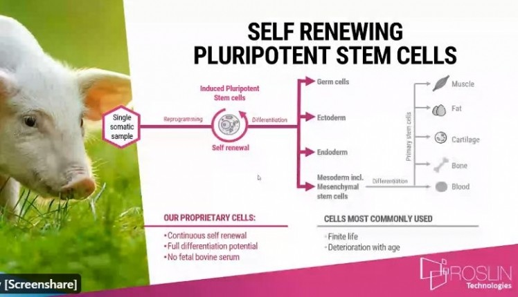 Roslin Technologies: Induced pluripotent stem cells for the cell-cultured meat industry