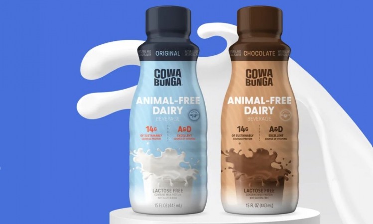  NEW PRODUCTS GALLERY: Nestlé tests 'animal-free' milk, Kellogg's debuts 'cooling' cereal and Danone unveils zero added sugar smoothies   