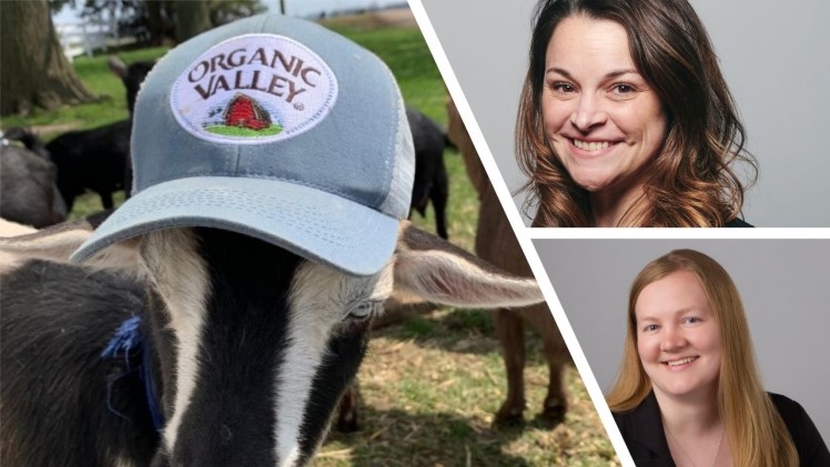 Organic Valley announces wave of promotions