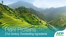 Plant protein consumer trends and technical overview