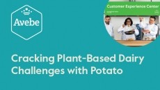 Cracking Plant-Based Dairy Challenges with Potato