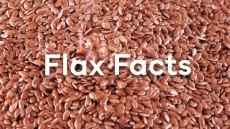 Nutritionally rich, high-quality flaxseed