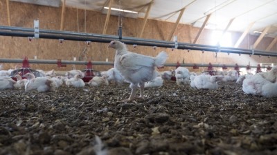 Perdue Farms has been praised for its animal welfare improvements