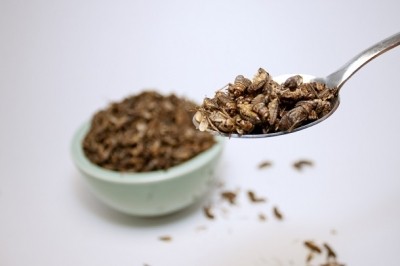 Innovative formulations could make insects more palatable