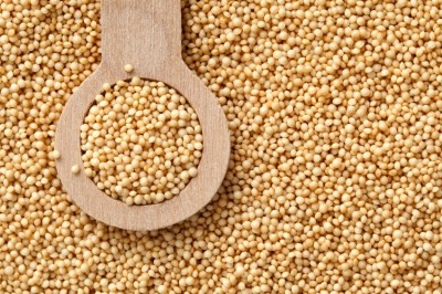 OTA sets high bar for revised organic seed-purity standards