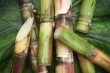 Africa, Asia to lead rise in global sugar demand through 2021, report says