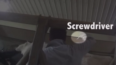 The Mercy for Animals video begins with a shot of a worker at a DFA member farm jabbing a cow with a screwdriver.