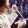 FDA calls for modernization of regulatory science