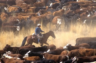 Cattlemen will get a chance to raise policy issues with US government officials