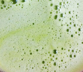 Bitter melon juice could be clinically useful in the treatment of pancreatic cancer, according to a new US study