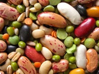 Pulses: Healthy potential – but still challenging for the American palate