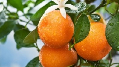 Citrus fiber is a clean label alternative to mono and diglycerides, carageenan, titanium dioxide and other ingredients featuring on retailers' 'unacceptable ingredients' lists, says Fiberstar