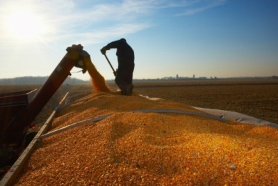 Gloom for US maize forecast