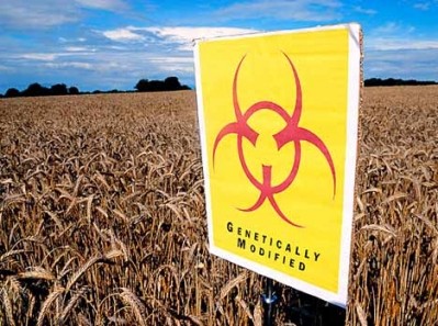 Monsanto GM cancer study findings criticised by German risk assessor