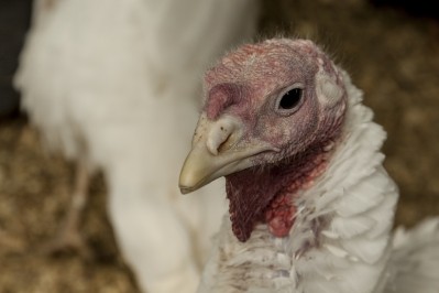 The discovery was made at a turkey farm in Stanislaus County