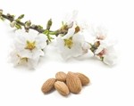Hain Celestial: California drought means higher almond prices